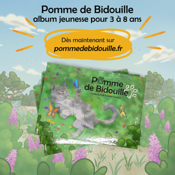 Venez découvrir Pomme de Bidouille